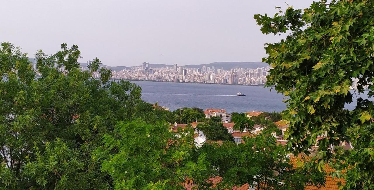 Bueyuekada Anastasia Meziki History Mansion Prinseneilanden Buitenkant foto